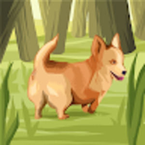 Meet your Posher, Brandenn